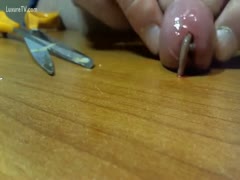 A dilettante man with a little weenie is shown in an insane home video allowing insects to crawl out his wang.